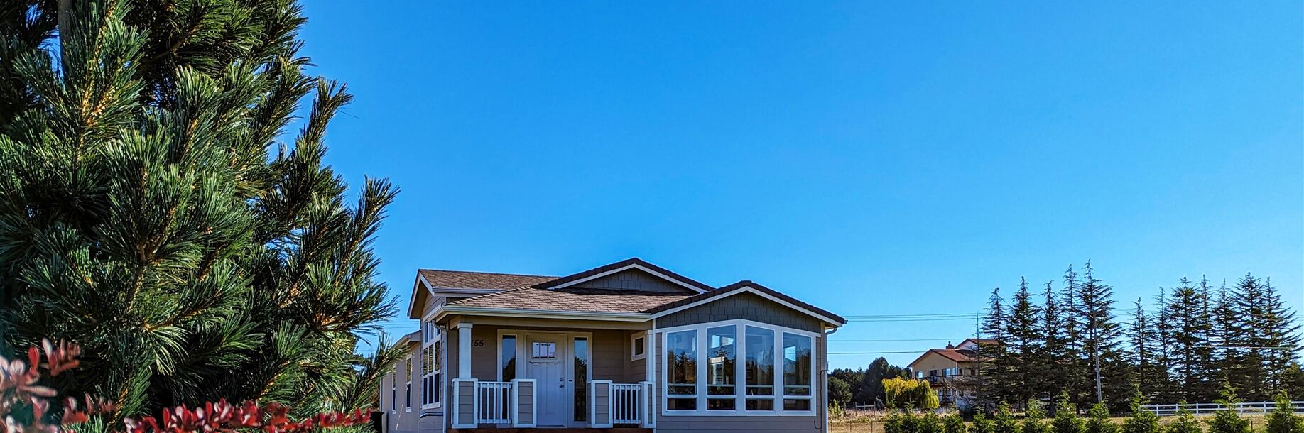Peaceful Pastures: Peaceful, immaculate home near Dungeness Wildlife Refuge