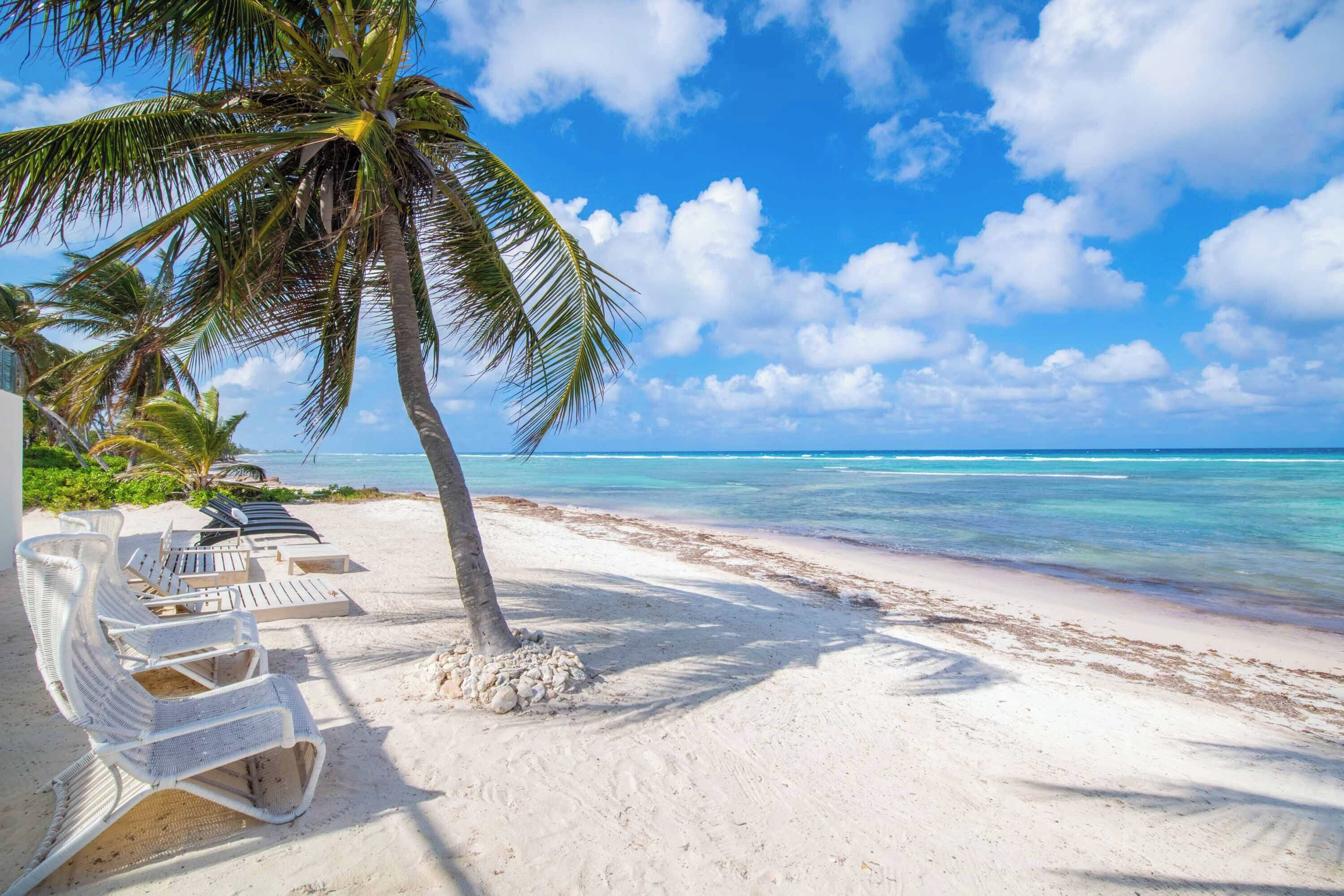 A beach with white sand, a palm tree, and lounge chairs.