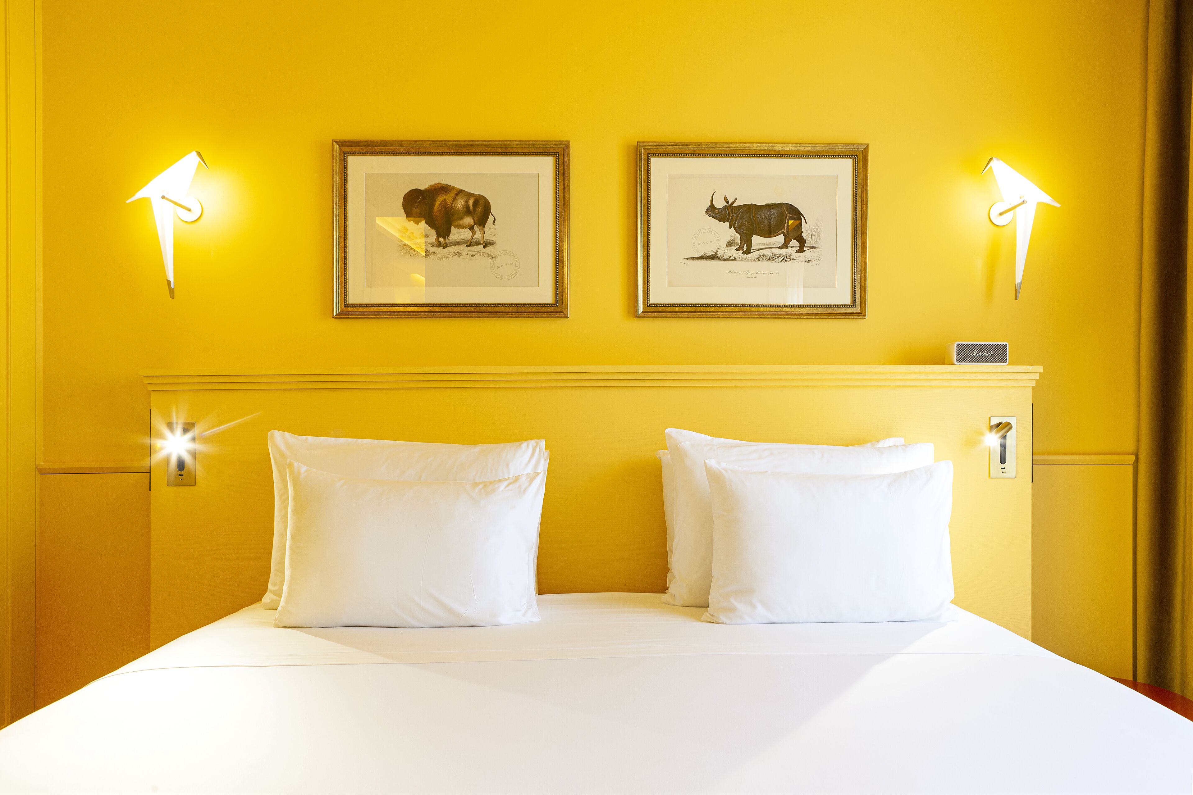 Habitación de hotel con una cama, dos almohadas blancas, un cabecero y dos cuadros enmarcados con imágenes de animales en la pared.