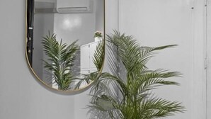 A room with a large oval mirror on the wall, a potted plant, and a white door. - Azzurro Pod Hotel Darling Harbour (Pyrmont)