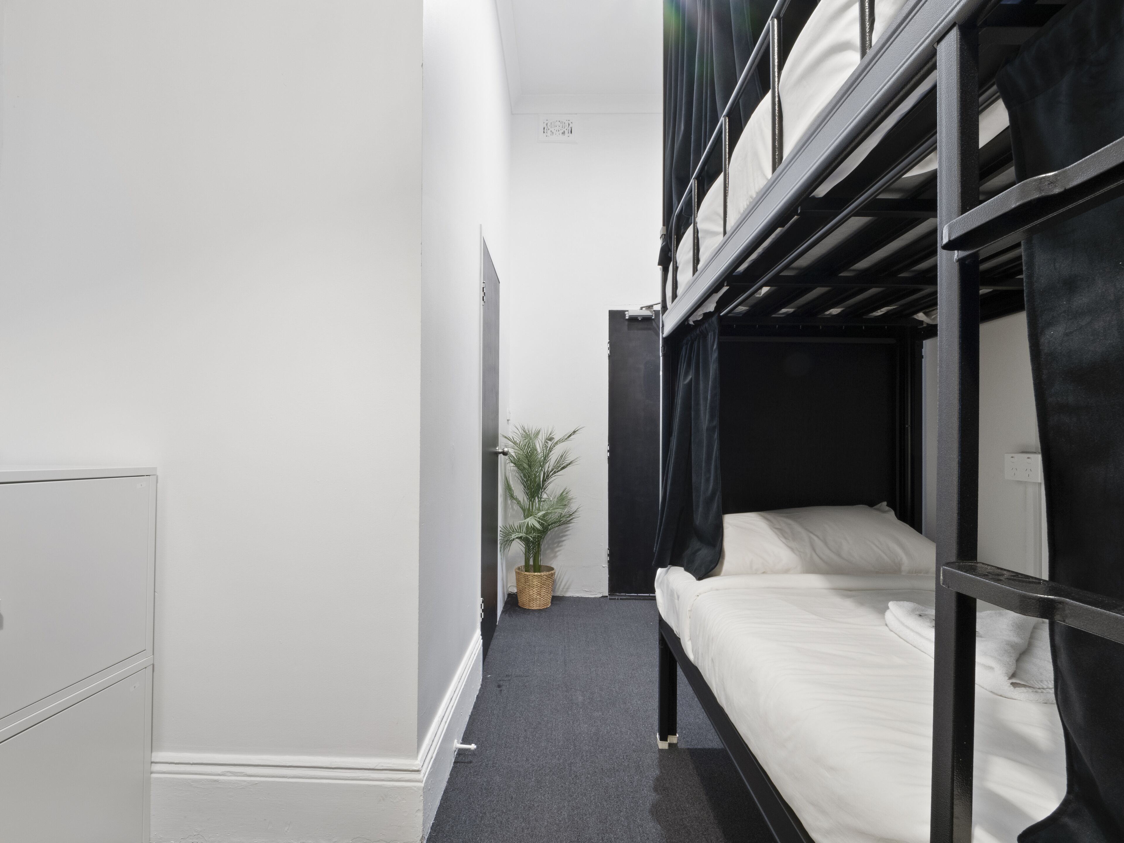 A narrow hallway with a bunk bed on the right, a potted plant, and a white door on the left.