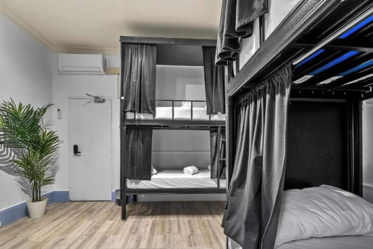 A bunk bed room with a potted plant, a door, and a window with curtains.