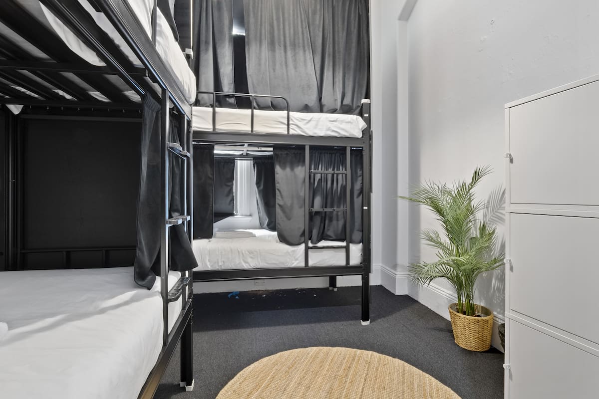 A bunk bed room with a small window, a plant, and a round rug.