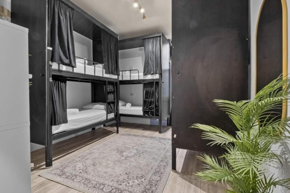 A room with bunk beds, a large mirror, and a potted plant.