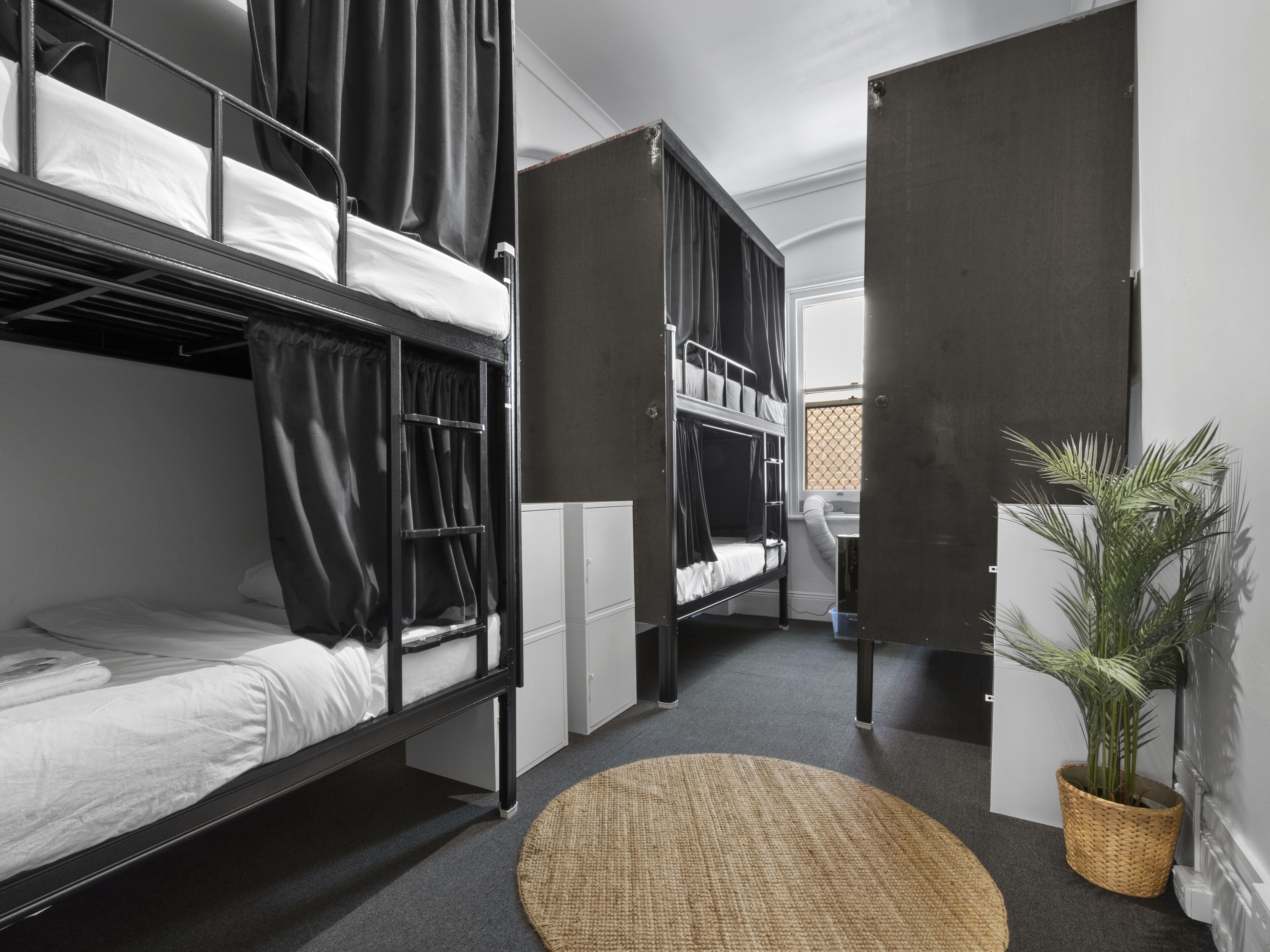 Une chambre de dortoir avec des lits superposés, un bureau, une chaise, une plante en pot et un tapis rond.