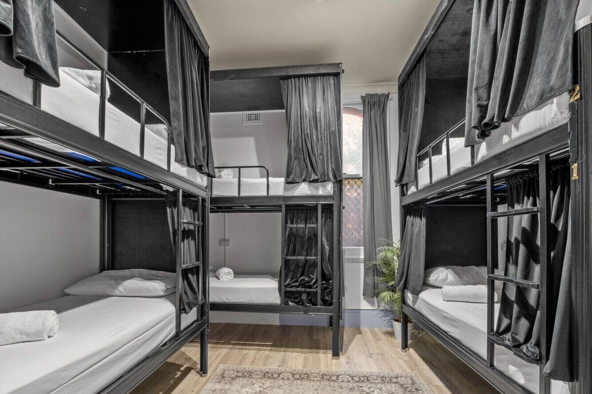 A bunk room with two beds, a small table, and a plant.