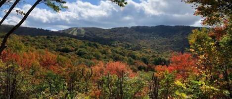Vue depuis lâhĂ©bergement