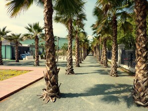 Overnatningsstedets område