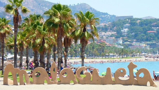 Ein Strand mit Palmen und einem Schild, auf dem 'Malasqueta' steht.
