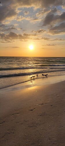 Home Paradise, Cozy guest suite in Ruskin POOLS HIGH SPEED WIFI BEACH MINUTES!!!