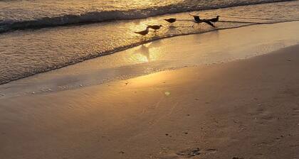 Home Paradise, Cozy guest suite in Ruskin POOLS HIGH SPEED WIFI BEACH MINUTES!!!