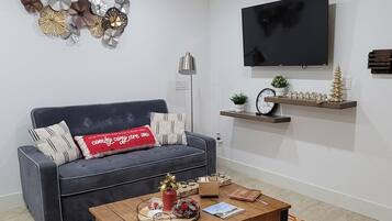 智能電視、書籍