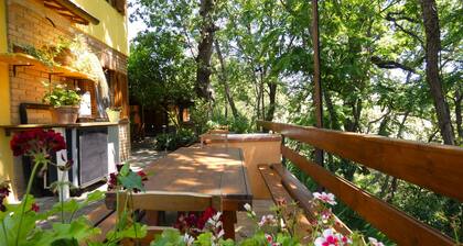 Scappo in Umbria, La casa verde di Eva