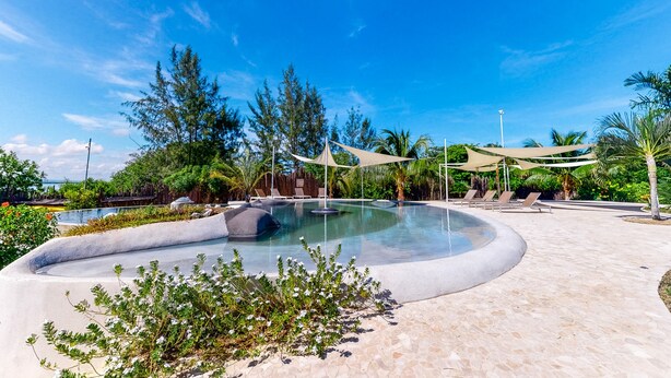 Zona de piscina con sillas de descanso y sombrillas, rodeada de vegetación y un cielo despejado.