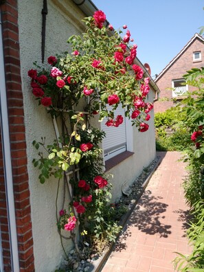 Udvendig detalje