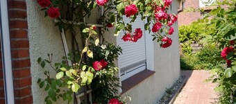 Neu Inseriert! Ferienwohnung Warfthuus in dem Wunderschönen Warftendorf Rysum