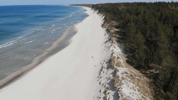 A beach with a sandy shore and a forested area. - Comfortable, convenient holiday apartment (Grzybowo)