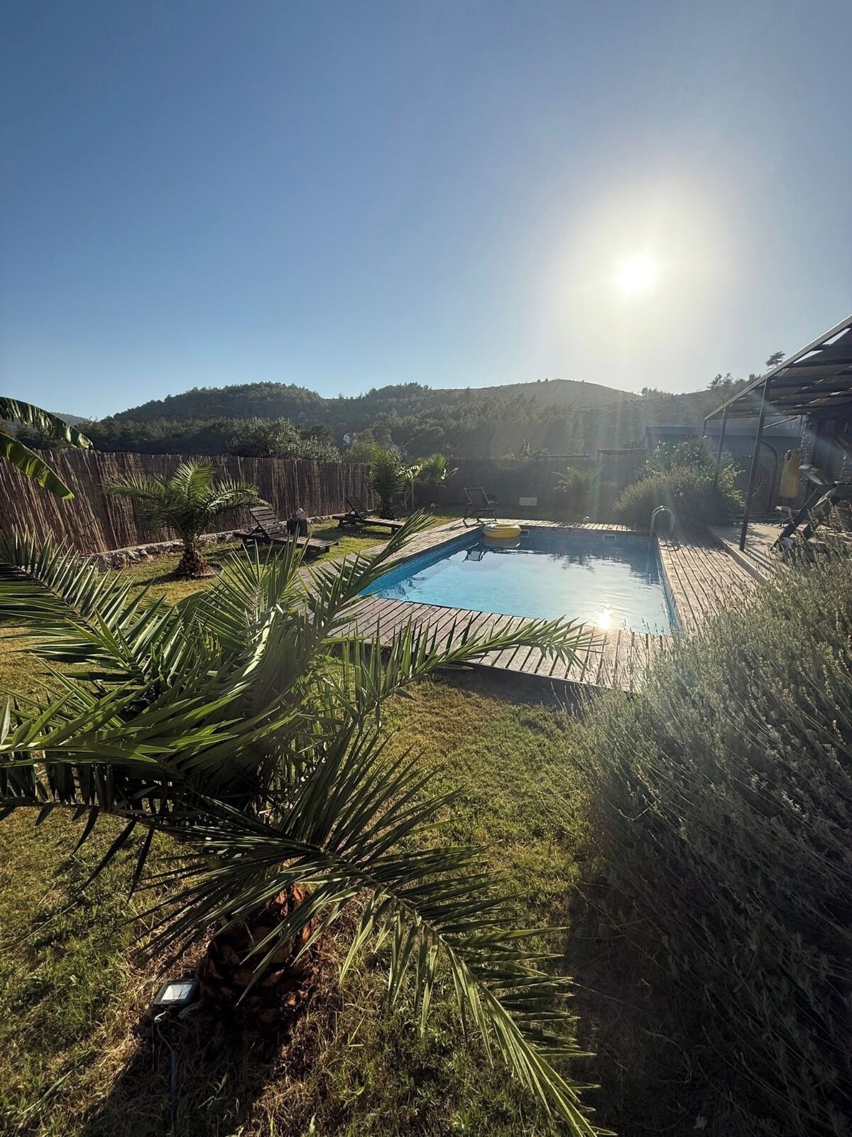 Un pati interior amb piscina, palmeres i terrassa de fusta.