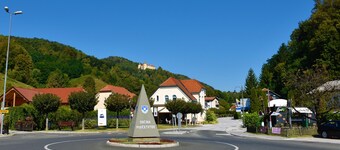 Log Cabin Forest Fairy