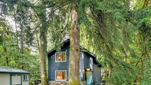 A cabin surrounded by dense forest, with a visible door and windows. - Rhododendron Creekside Cabin w/ Hot Tub & Fire Pit (Rhododendron)