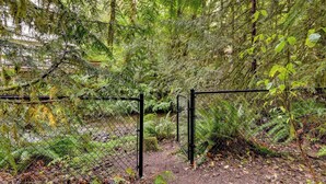 A forested area with a dirt path leading through a chain-link fence. - Rhododendron Creekside Cabin w/ Hot Tub & Fire Pit (Rhododendron)