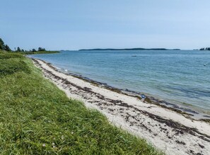 A beach with a grassy area and a sandy shore extending into calm water.