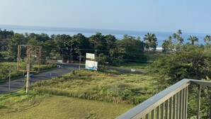 Vista sulla costa con una strada, vegetazione e un cartello.