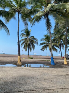 A beach with palm trees, a sandy area, and a clear sky.