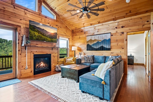Smart TV, fireplace, video games, DVD player