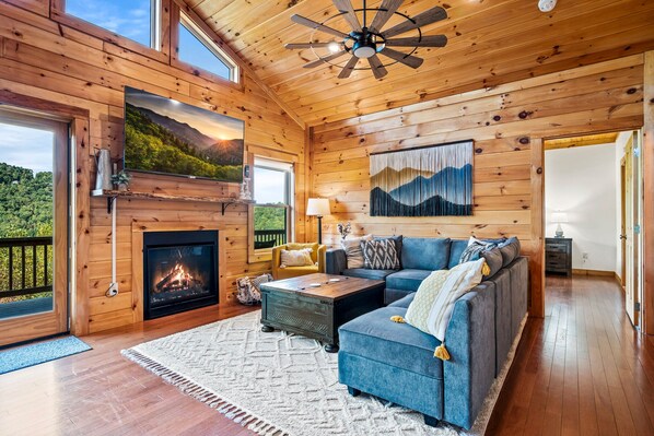 Smart TV, fireplace, video games, DVD player
