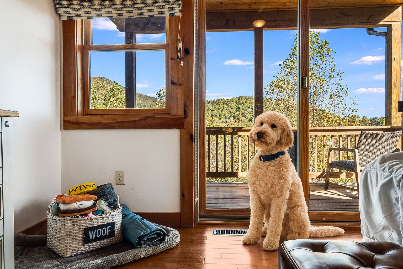 A cozy room with a wooden floor, a wicker basket labeled "WOOF", a dog, and a view of a deck and trees through a glass door.