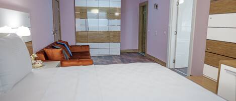 A bedroom with a bed, a sofa, a wardrobe, and a door.