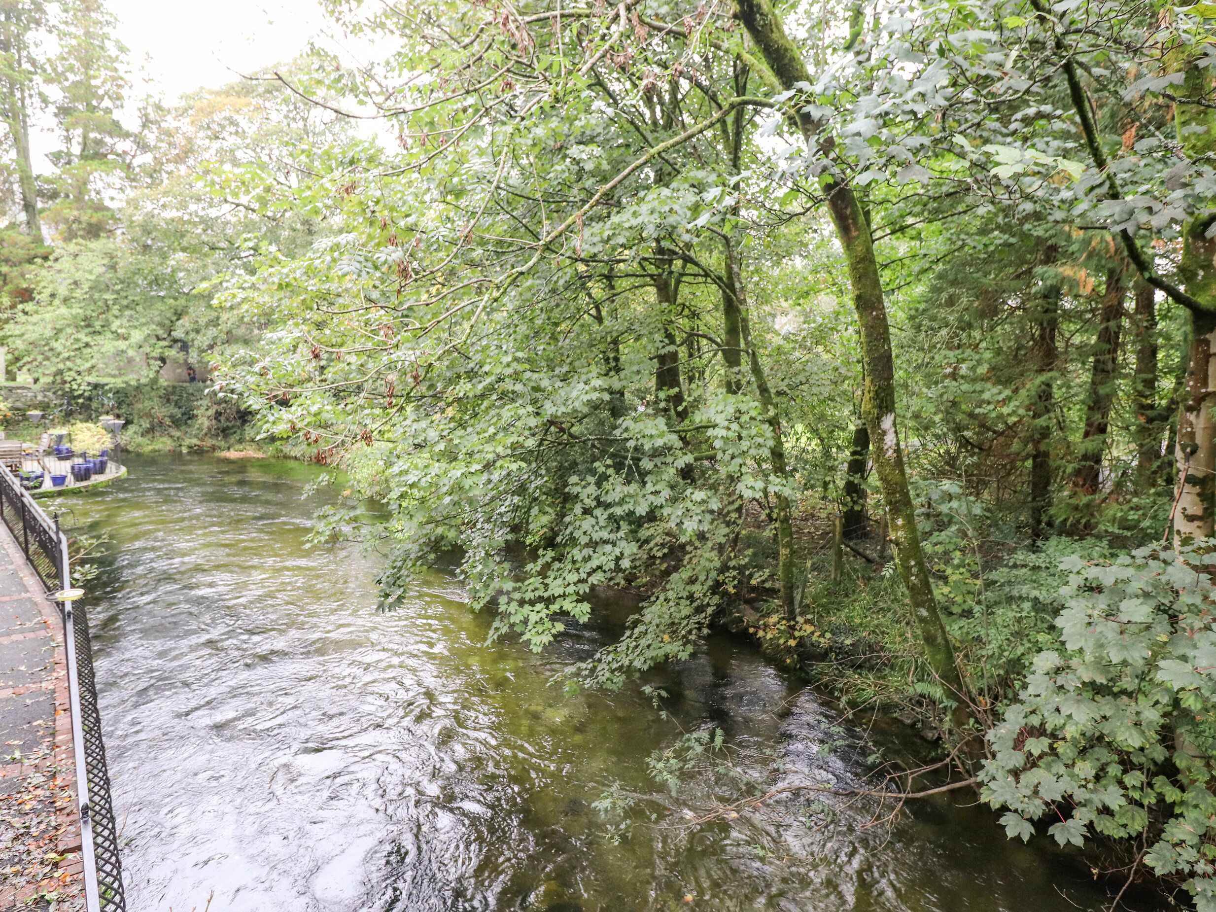 A river with a bridge and dense foliage.