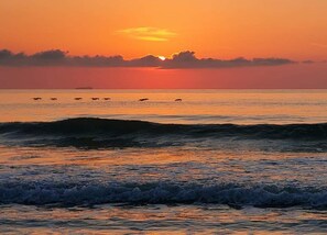 Beach towels - Ocean Breeze. Cozy apartment 2 Blocks from the ocean and within 6 miles of MAYO (Jacksonville Beach)