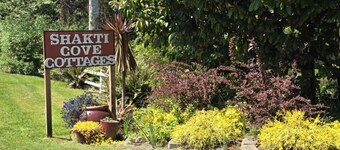 Bird cottage- Studio