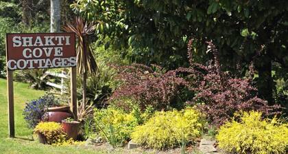 Bird cottage- Studio