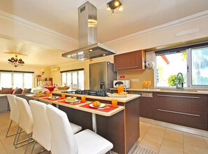 Fridge, microwave, oven, dishwasher - Villa w/ BBQ and Pool in Albufeira (Albufeira)