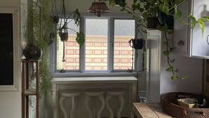 A kitchen with hanging plants, a window, a sink, and a small stool.