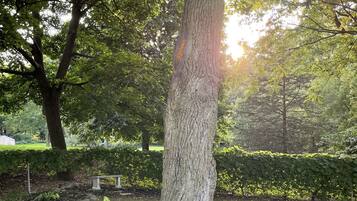 Enceinte de lâhĂ©bergement