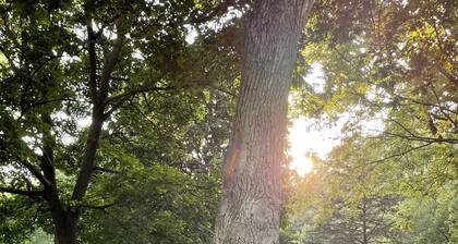 The Artist's Getaway