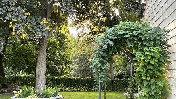 A garden with a stone pathway leading to a house, surrounded by lush greenery and trees.