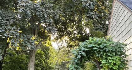 The Artist's Getaway