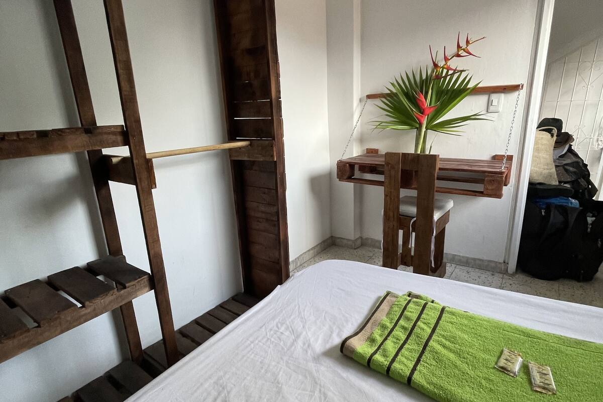 Une pièce comprenant un lit, une échelle en bois, un bureau avec une chaise et une plante en pot.