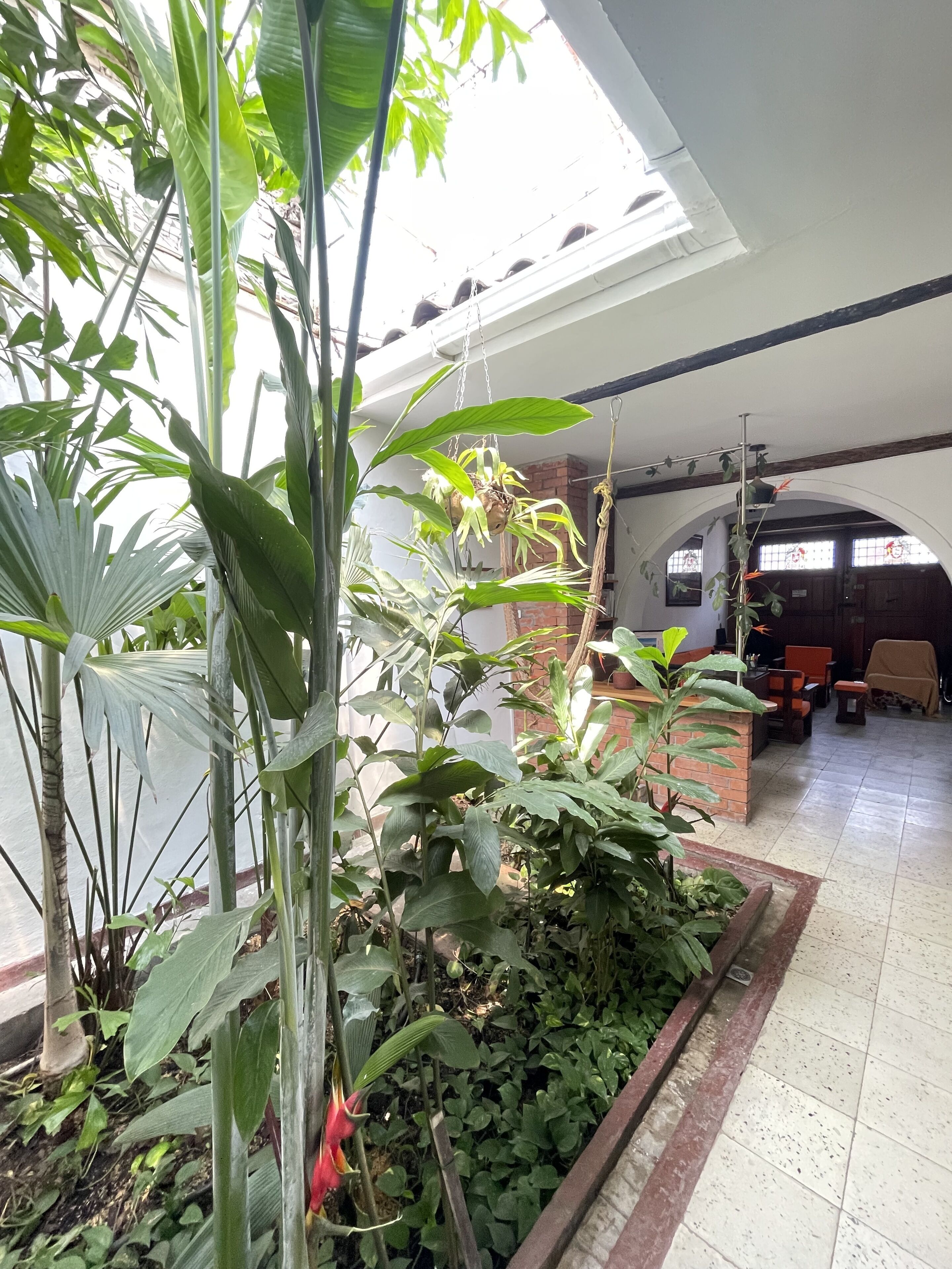 Amplio espacio interior con diversas plantas en macetas y suelo de baldosas.