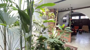 Amplio espacio interior con diversas plantas en macetas y suelo de baldosas.
