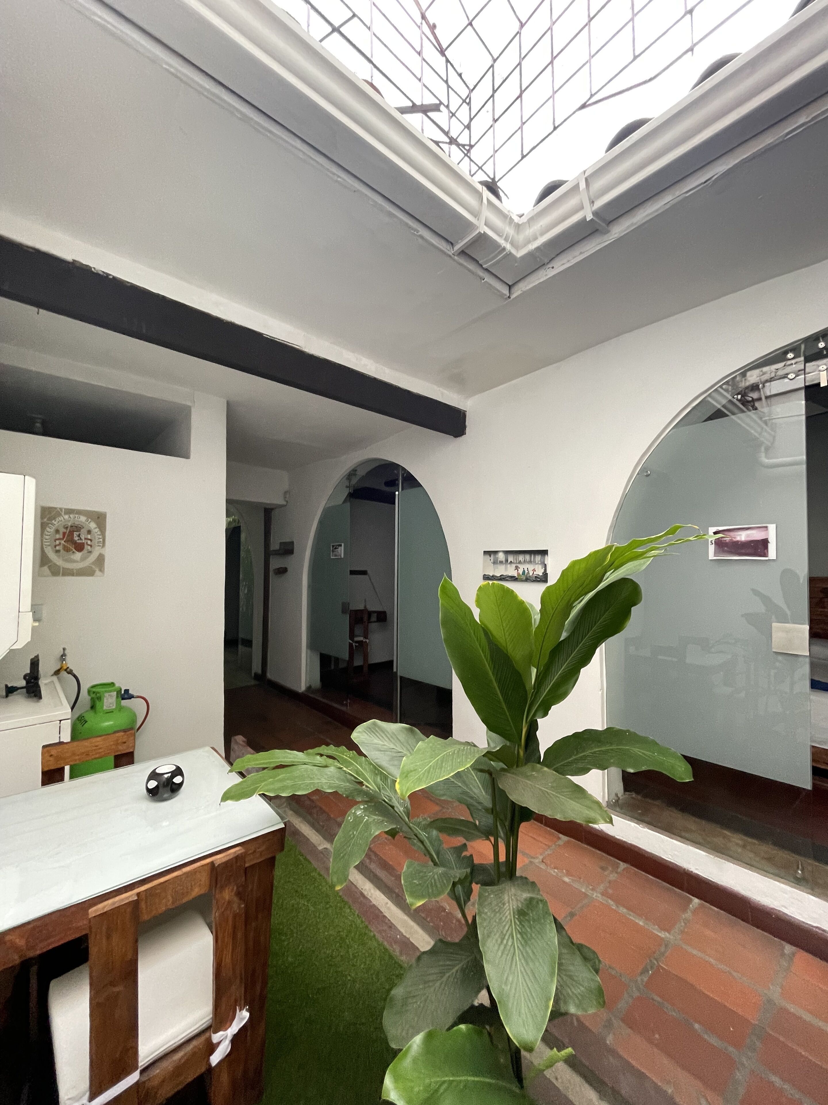 Foto - Chontaduro San Antonio Hostal