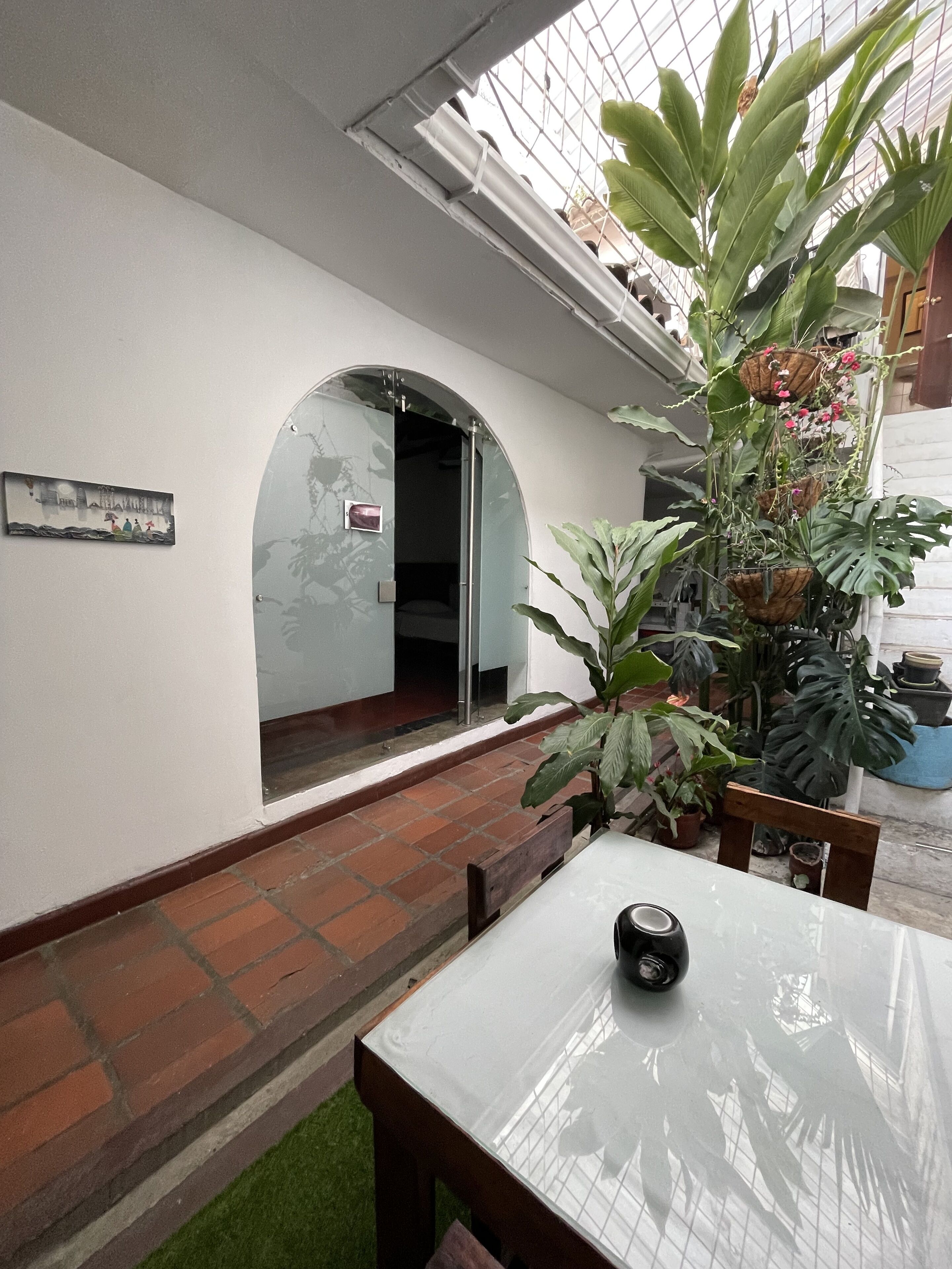 Foto - Chontaduro San Antonio Hostal