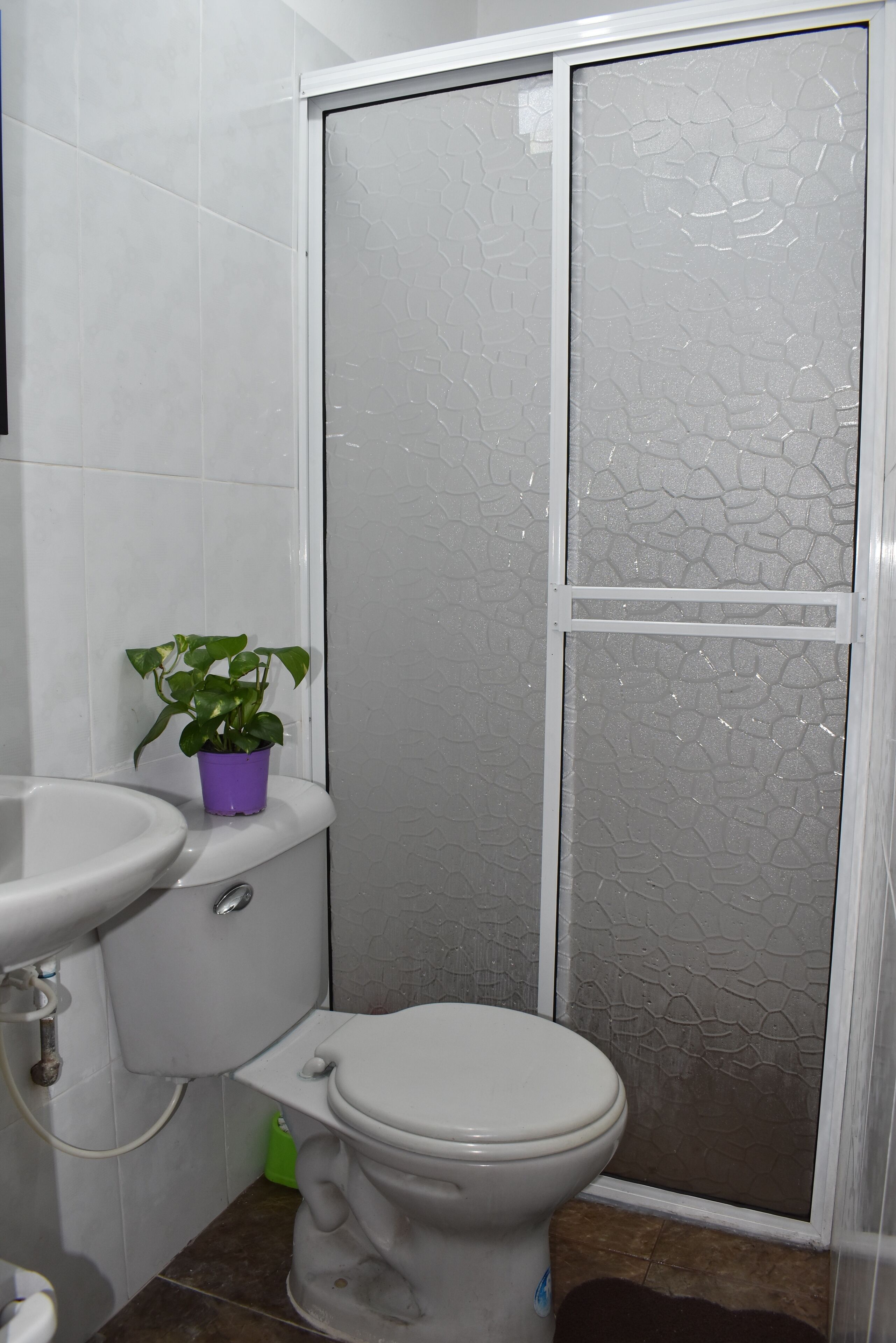 Foto - Chontaduro San Antonio Hostal