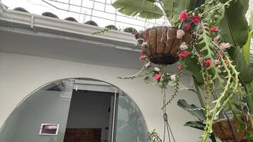 Quarto solteiro executivo, 1 quarto | Área de estar