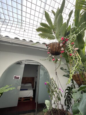 Executive Single Room, 1 Bedroom | Living area - Hostal Chontaduro (Cali)